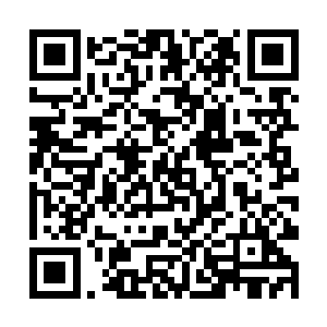 今天在这里坐着的可是有着九大宗主和十二远古天尊二维码生成