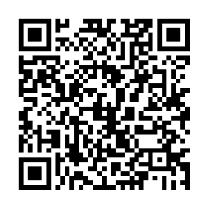 今天在那个小院子里被浇水的情景依然是历历在目二维码生成