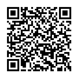 今天大地族这些修士被许星繁和沙小凡一顿暴揍二维码生成