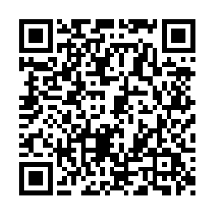 今天她亲眼看见龙羽亲手缔造出一个生命的奇迹二维码生成