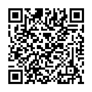 今天她们收获了这么多的大白蛋已经够吃很久了二维码生成