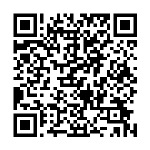 今天她醒来后就去找陈府的下人要了水盆和净脸用的新棉布二维码生成