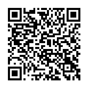 今天尊敬的周省长和侯秘书长来观看了我们排练二维码生成