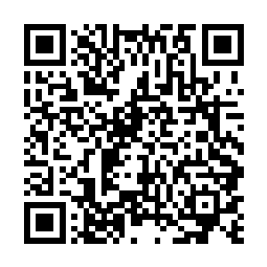 今天布拉德才总算是真正体会到了万众瞩目核心的滋味二维码生成