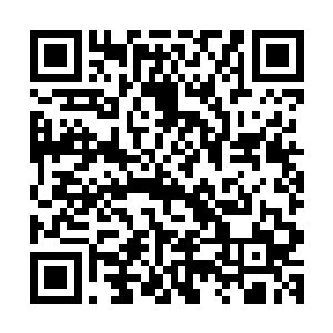 今天思思的班主任和我说希望她能够参加全国小学生作文大赛二维码生成