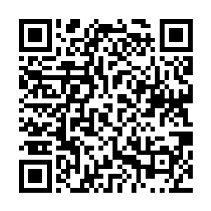 今天我倒要见识一下奎牛到底是不是如传说中的那般厉害吼二维码生成