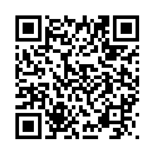 今天我可以因为你有投资而偏向你二维码生成