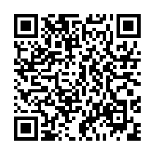今天我就是带着我们政fu的公务员们来一中充充电的嘛二维码生成