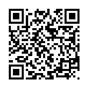 今天我已经把这宗案子的所有详细资料二维码生成