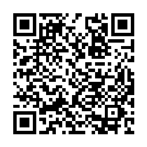 今天我正好可以将你们七宗罪内所有的人一网打尽二维码生成