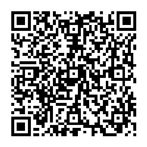 今天才知道这九九归一元神丹的价格把他老猿给卖个几百次都买不起这么一颗丹药二维码生成