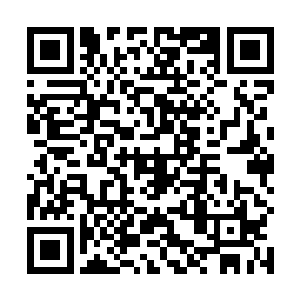 今天是梅迪尔丽集结河滩城大军攻打猩红修道院的日子二维码生成