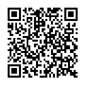 今天是2000名被选中的火星农民前往火星的重要时刻二维码生成