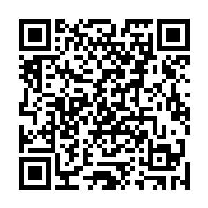 今天晚上他们其实老早就在驻地内做好了迎接袭击的准备二维码生成