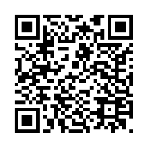 今天有老鼠掉进我们班的奶桶里了哦二维码生成