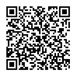 今天来本想跟扶苏公子商议一下如何迎接陛下和王后回咸阳的事情二维码生成