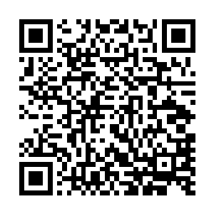 今天柴可夫家族的主事人会去参加四海龙王的六十六岁寿辰二维码生成