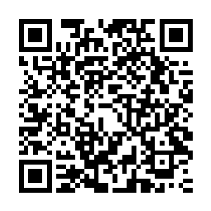 今天汇入你卡上的钱是答谢你这几年收留了她与照顾了她的报酬二维码生成