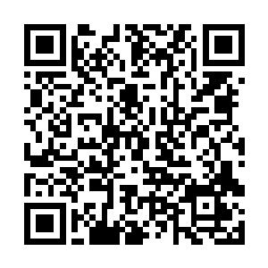 今天没打起群架还是因为那个高芳的男朋友明哥不在二维码生成