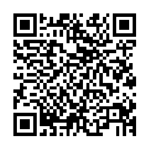 今天炼丹工会的长老到这里来的目的就是为了得到这枚美颜丹二维码生成