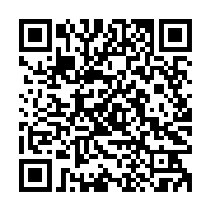 今天的一大早欢喜哥就带着安妮和莫胖子来到了方寸天地水族馆二维码生成