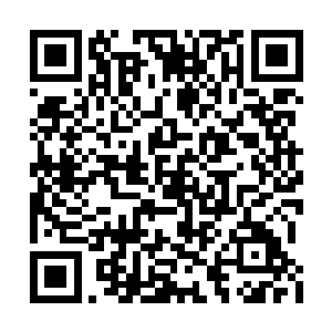 今天的收入是雷林帮自己导师打工才得到的收入二维码生成