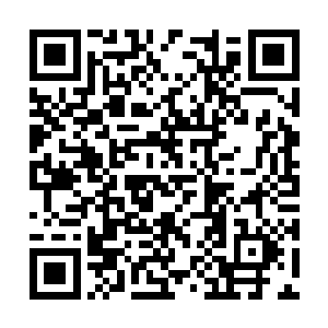 今天的校委会突然决定要将她调去档案室整理档案二维码生成