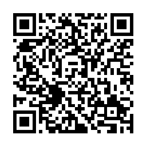 今天的测试考核成绩将决定着你或者你的父母未来在叶家的地位二维码生成