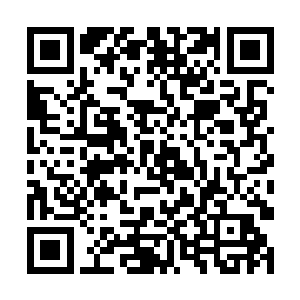 今天的珍珠塔仿佛就是吃错了药似的要和学士们作对二维码生成