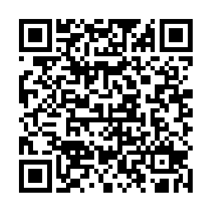 今天的瑞典报纸头条都对中医代表团的到来进行了报道二维码生成