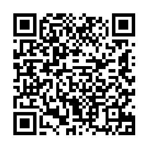 今天的阳光和风真的都不错――不过如果那样的话二维码生成