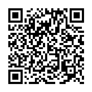 今天磨剑石的寻找难度明显比昨天大……难不成二维码生成
