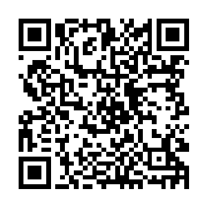 今天能躲过骨器店老板的现场指认已经算是幸事一桩二维码生成