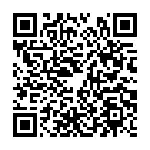 今天苏林居然跟医师索要了一些用来折磨人的东西二维码生成