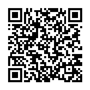 今天要一起对付这个祸害了我们家园几十万年的家伙二维码生成