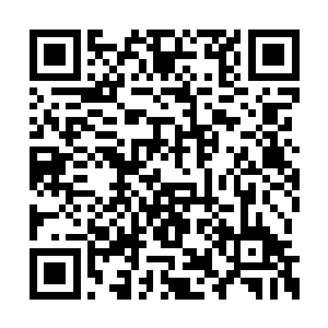 今天这十八套智能家居究竟能拍出什么样的天价二维码生成