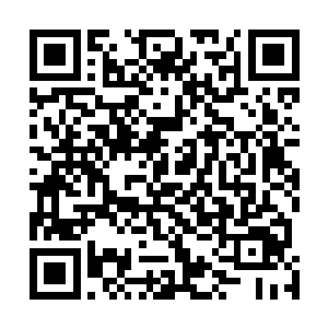 今天这场宴会是专门为夏先生和十三先生两位大人准备的二维码生成