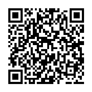 今天醒心答应了十点钟去摄政王府拜见老祖宗的二维码生成