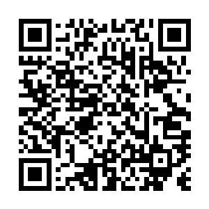 今天采访队前往公民及移民服务局的洛杉矶办事处进行访问二维码生成