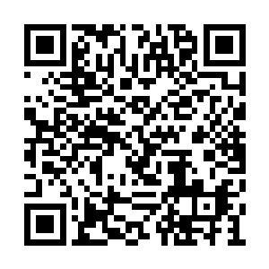 今天陆老太太生气发飙第一是真的就要置蒋芳倩二维码生成