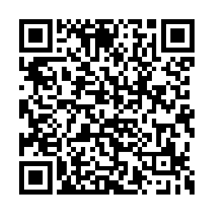 今天雷欢喜不管付出什么样的代价都是值得的了二维码生成