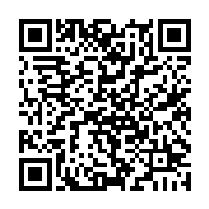 今天面对比郑炎还要强一分的对手我一个人就拿下了二维码生成