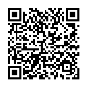今年二十七岁的雨果很有可能成为娱乐圈未来十年的顶梁柱二维码生成