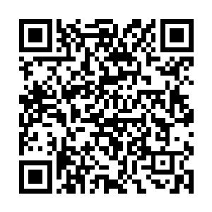 今年就是想去斐济考察一下人家的左行道的建设方法二维码生成
