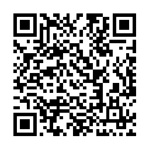 今年年初的时候我姐就谈到过华民集团现在做到这么大二维码生成