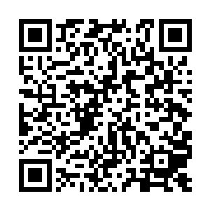 今年我们洼崮招商引资要实现全县六个区的第一名二维码生成