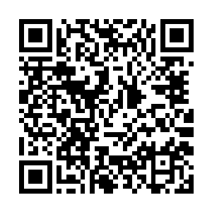 今年更是以优异的成绩考中了全国重点大学开南大学二维码生成