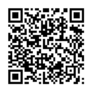 今年说不定能借这个人再给我们的骨器大赛留下新的传说二维码生成