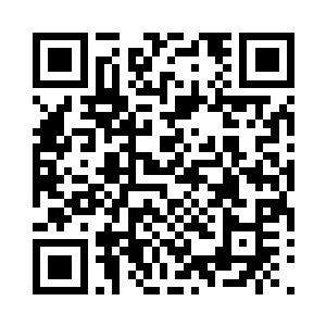 今年金字山上分批次来了几十号陌生脸孔二维码生成
