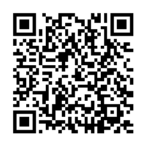 今日吕兄布置下来的这一阵法不也是为了防范他的吗二维码生成